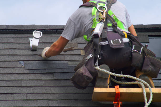Best Best Roofing Contractors  in Mapleton, IA