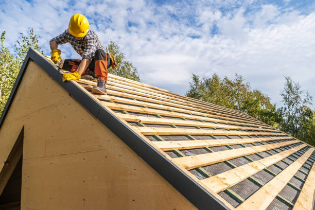 Best Roof Maintenance Services  in Mapleton, IA